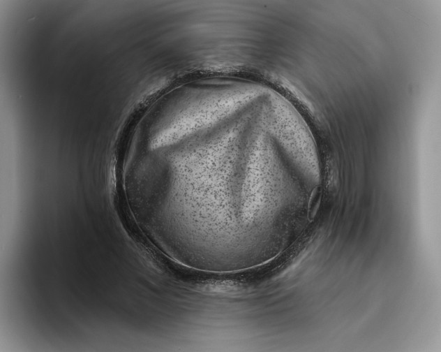 X0000094190685200711091201