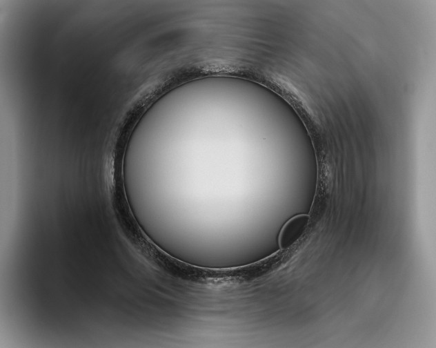 X0000094190686200711091201