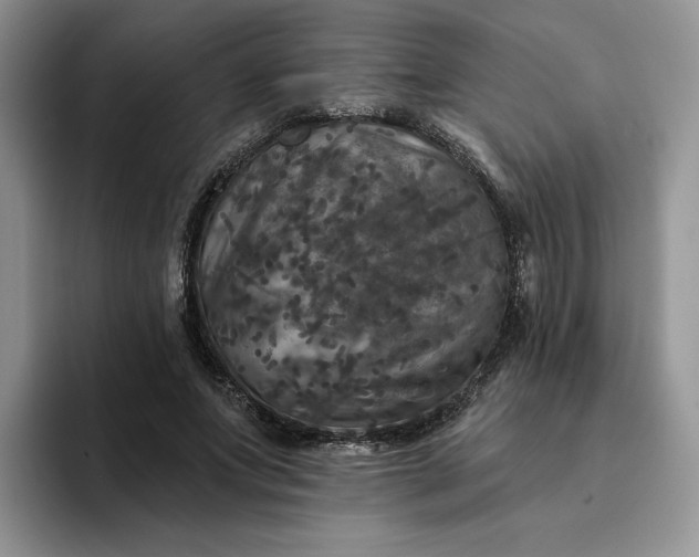 X0000094190687200711091201