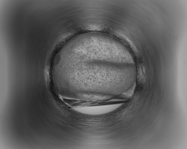 X0000094190688200711091201