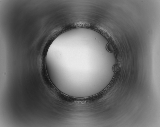 X0000094190690200711091201