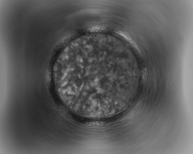 X0000094190691200711091201