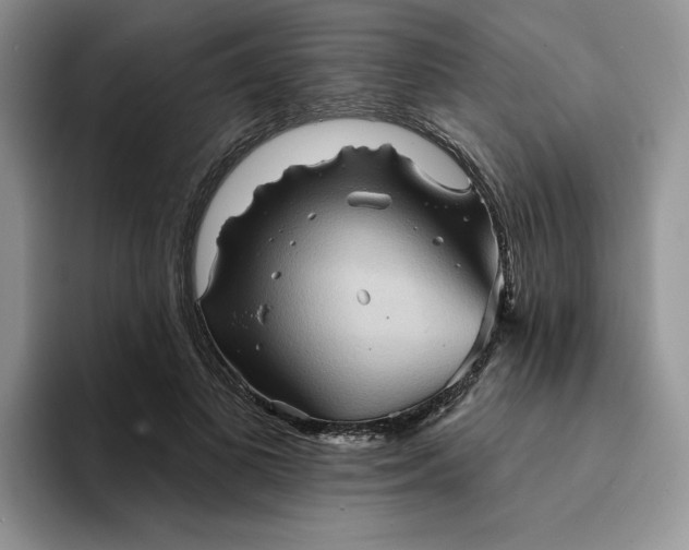 X0000094190693200711091201