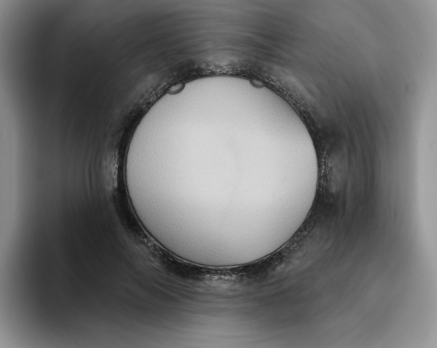 X0000094190694200711091201