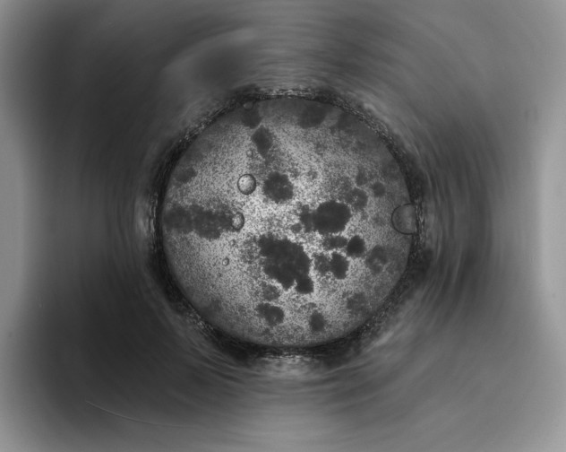 X0000094190695200711091201