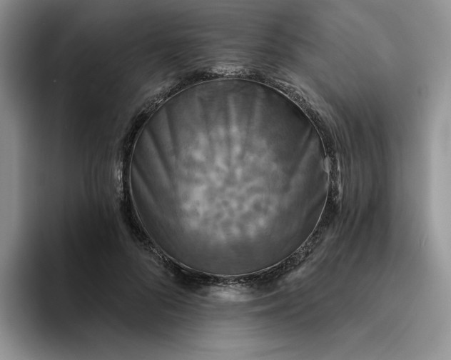 X0000094190696200711091201