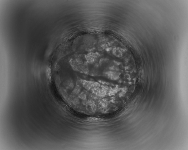 X0000094190699200711091201