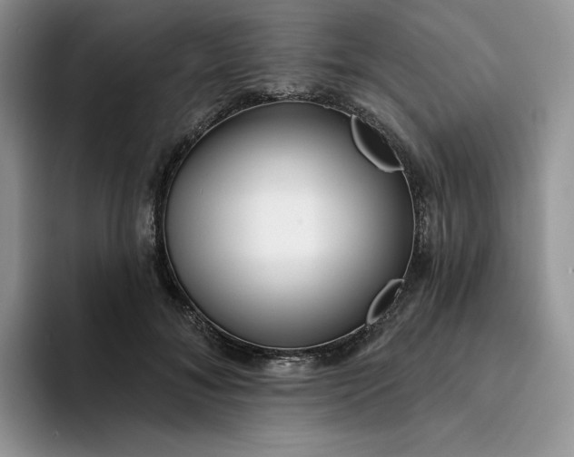 X0000094190700200711091201