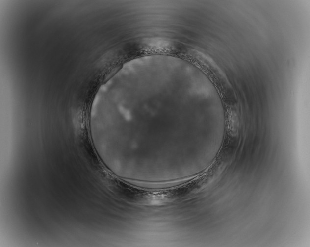 X0000094190701200711091201