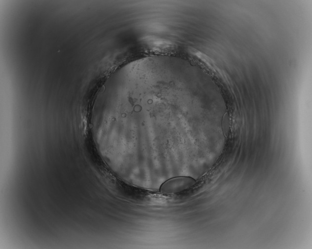 X0000094190703200711091201