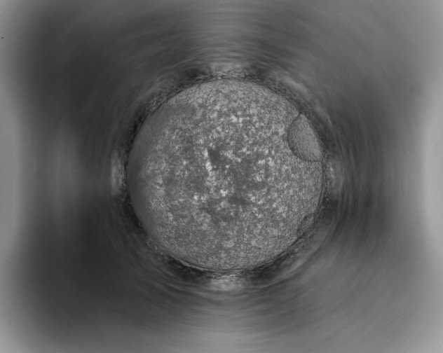 X0000094190705200711091201