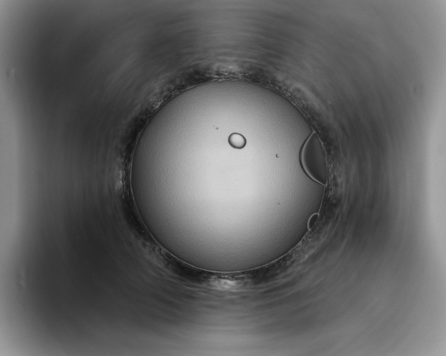 X0000094190706200711091201