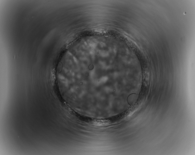 X0000094190707200711091201