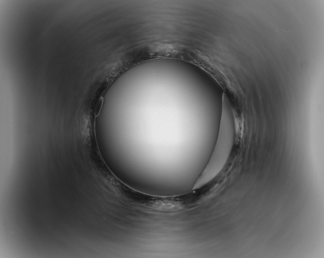 X0000094190708200711091201