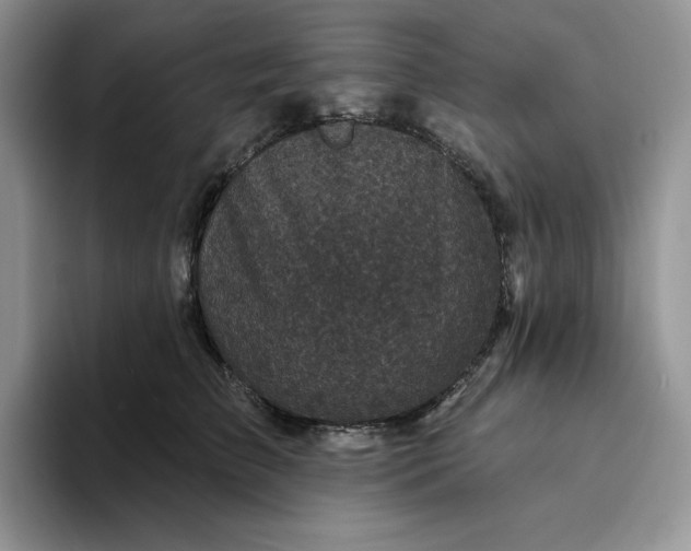 X0000094190709200711091201