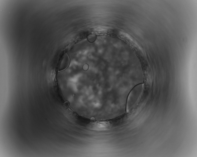 X0000094190711200711091201