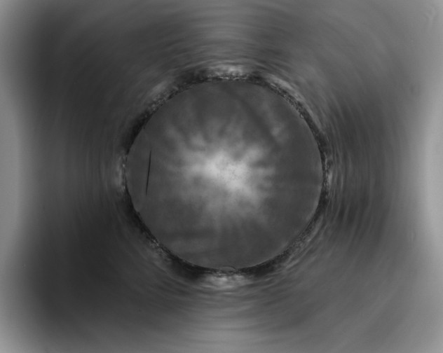 X0000094190712200711091201