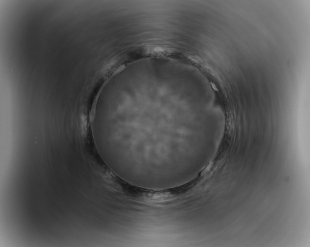 X0000094190716200711091201