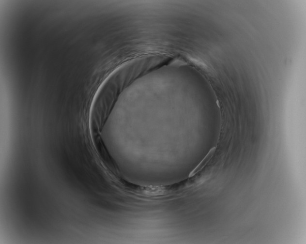 X0000094190720200711091201