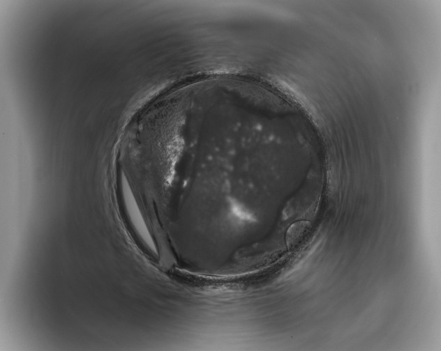 X0000094190721200711091200