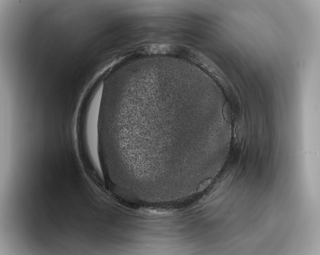 X0000094190722200711091200