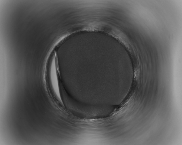 X0000094190724200711091200