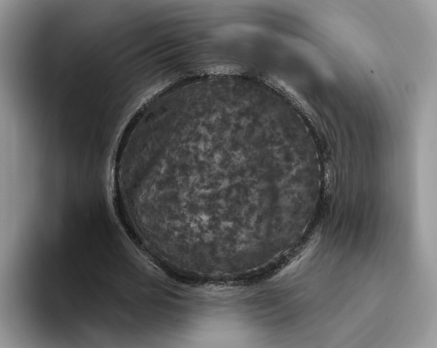 X0000094190725200711091200