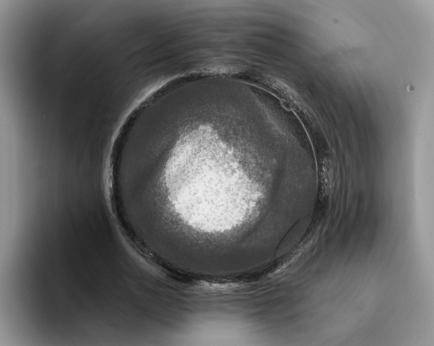 X0000094190726200711091200