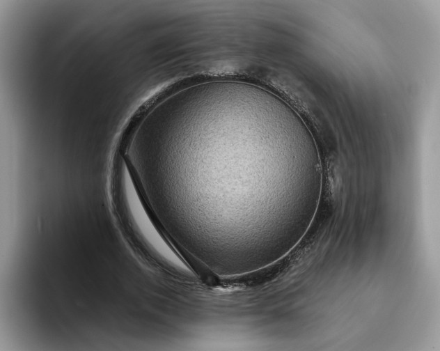 X0000094190728200711091200