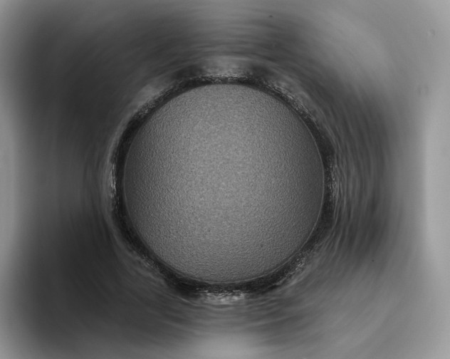 X0000094190731200711091200