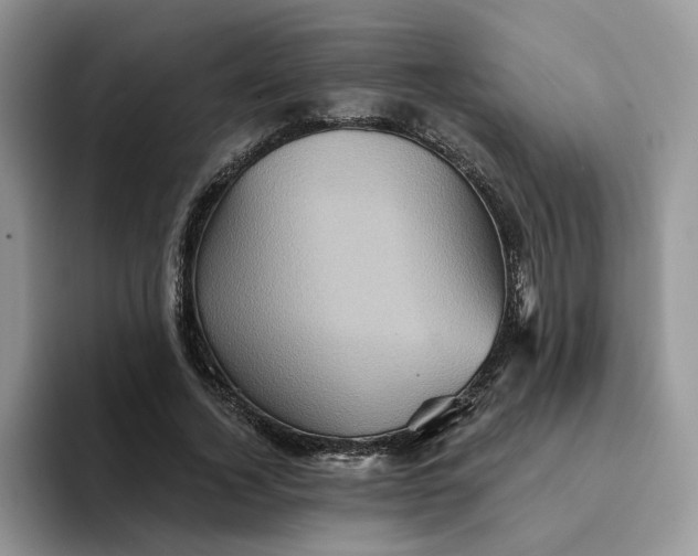 X0000094190732200711091200