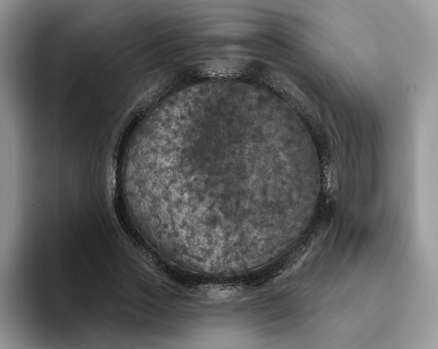 X0000094190733200711091200