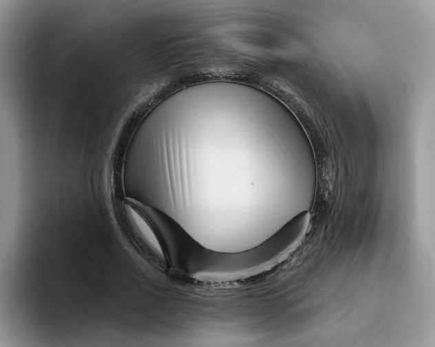 X0000094190734200711091200