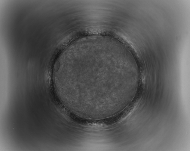 X0000094190737200711091200