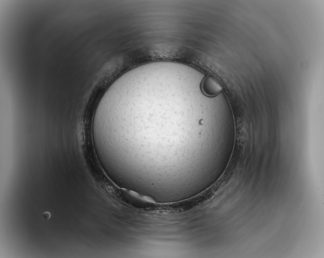 X0000094190738200711091200