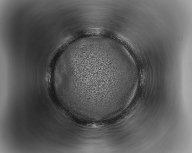 X0000094190739200711091200