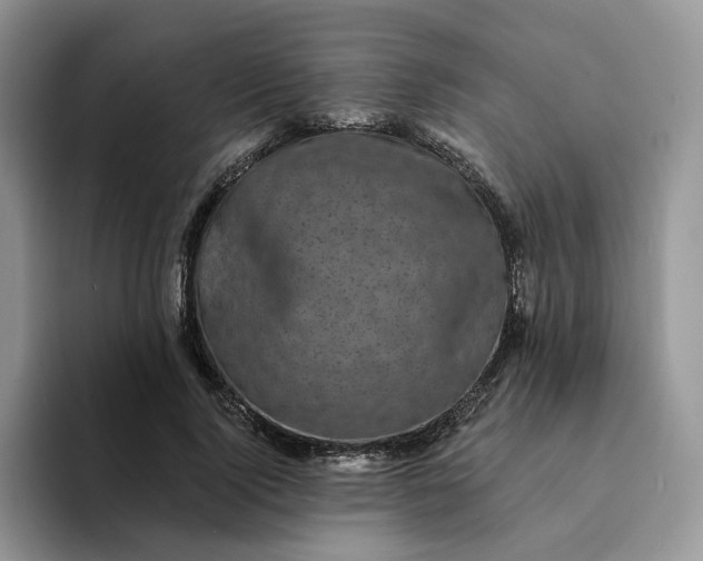 X0000094190740200711091200