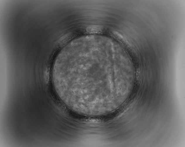 X0000094190741200711091200