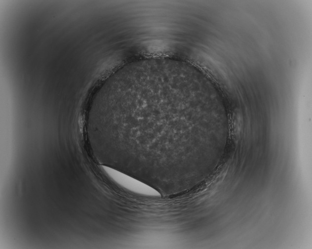 X0000094190742200711091200