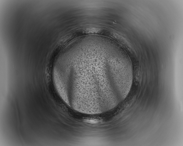 X0000094190743200711091200