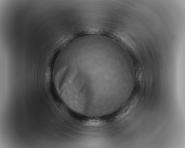 X0000094190744200711091201