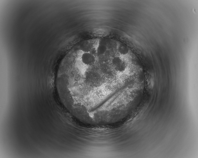 X0000094190745200711091201