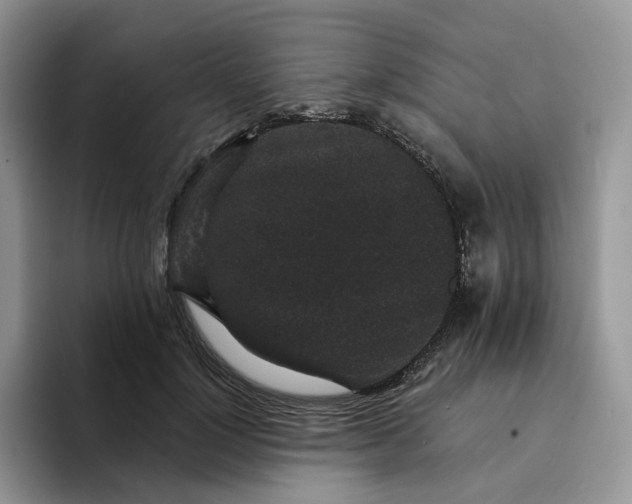 X0000094190748200711091201