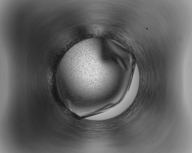 X0000094190750200711091201