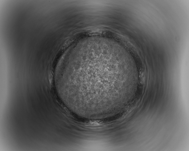 X0000094190753200711091201