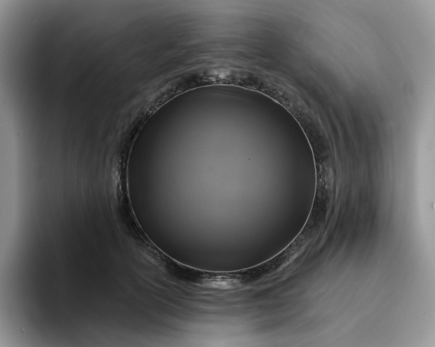 X0000094190754200711091201