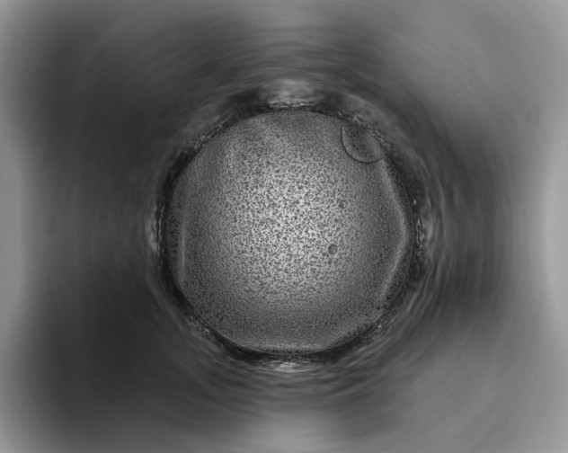 X0000094190755200711091201