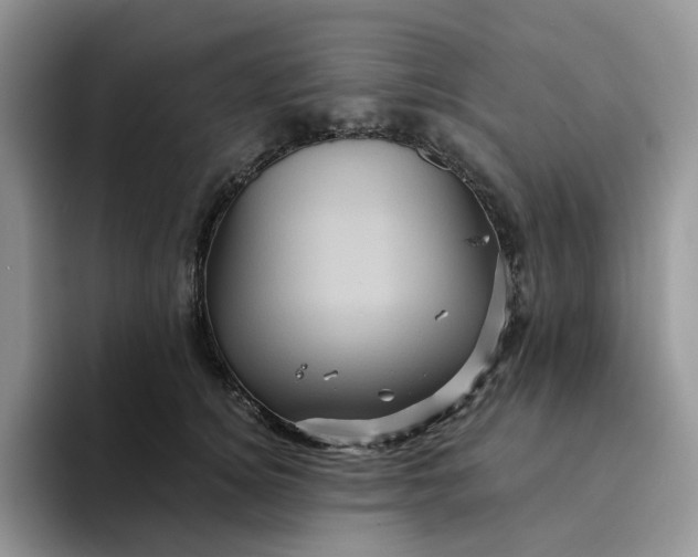 X0000094190756200711091201