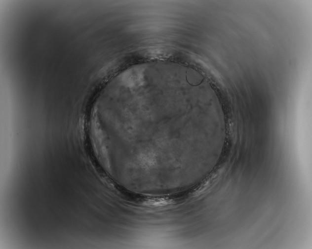 X0000094190757200711091201