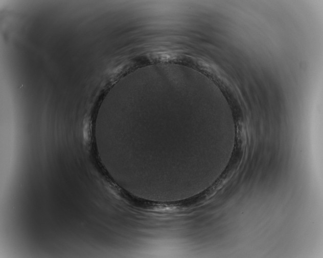 X0000094190760200711091201